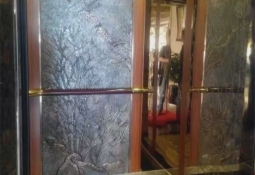 客梯装潢